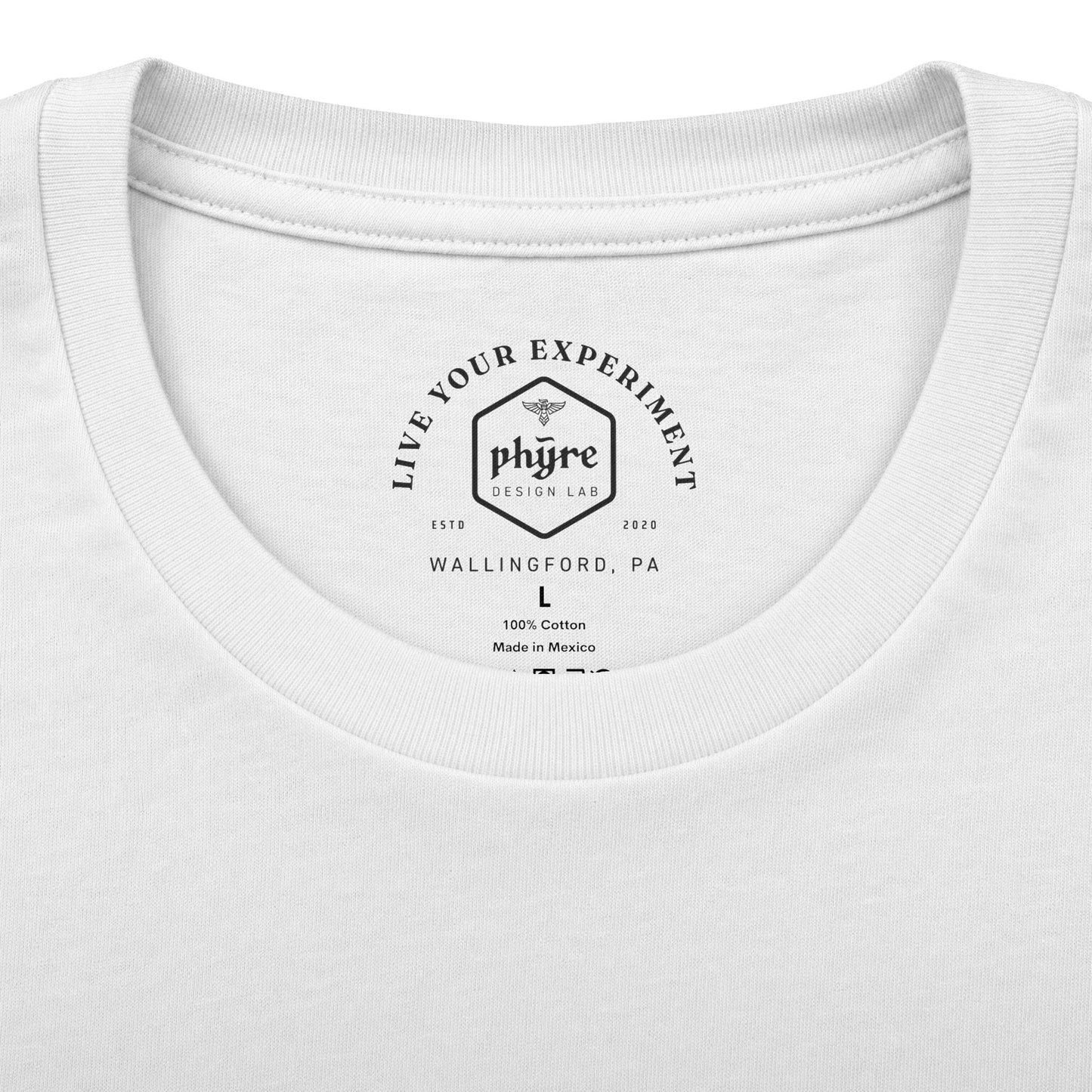 Flying Birds Vintage Football Tee
