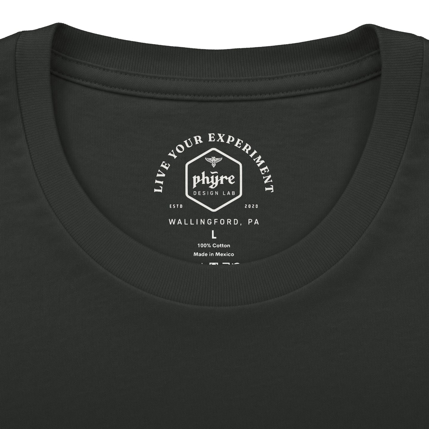 Flying Birds Vintage Football Tee